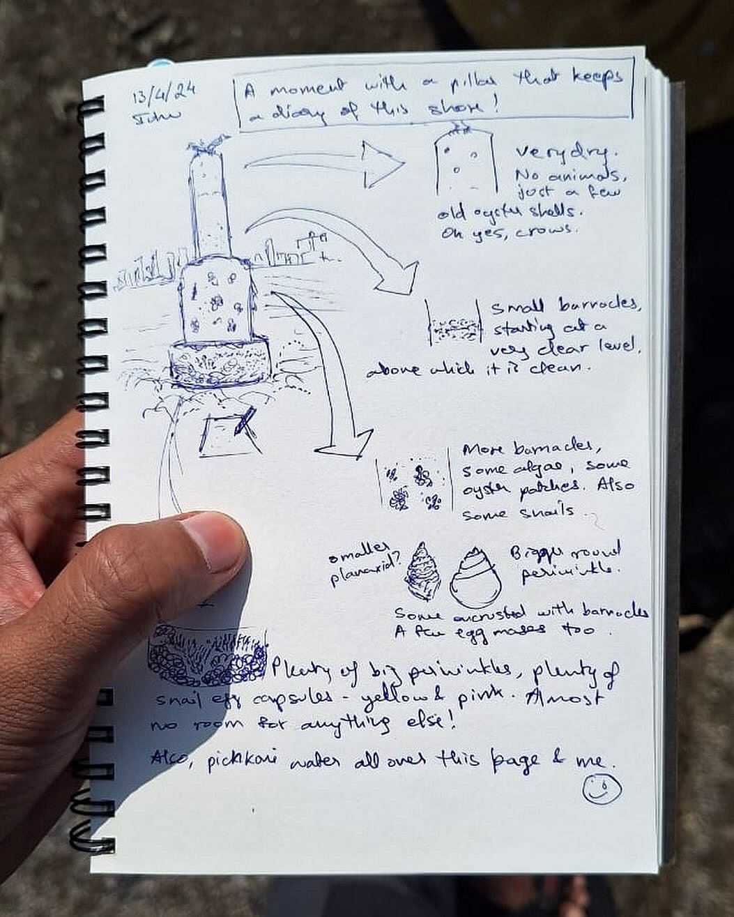 Nature journaling workshop at Juhu Beach conducted by Gaurav Patil (@seasawarts). MLOM says these workshops blend art and science, fostering a deeper connection to our shores and the animals that call it home